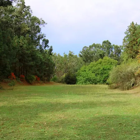 Duplex De Invitados En Medio Del Bosque Holiday home