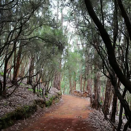 Lantställe Duplex De Invitados En Medio Del Bosque Firgas