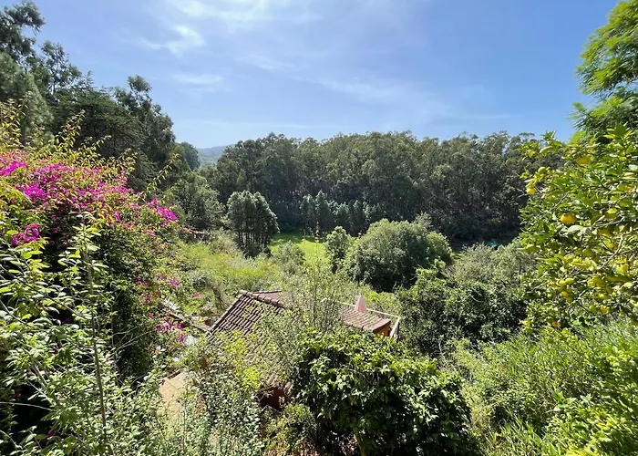 Duplex De Invitados En Medio Del Bosque Venkovský dům *
