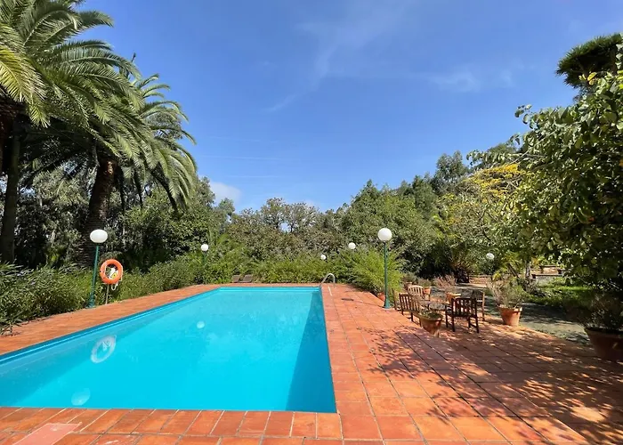 Duplex De Invitados En Medio Del Bosque