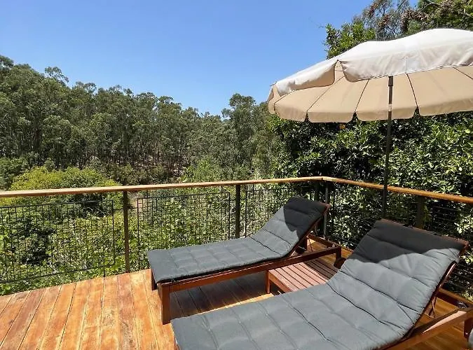 Duplex De Invitados En Medio Del Bosque Firgas