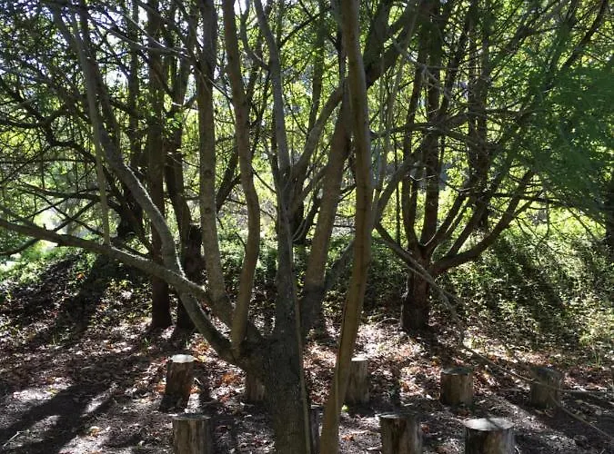 Duplex De Invitados En Medio Del Bosque * Firgas