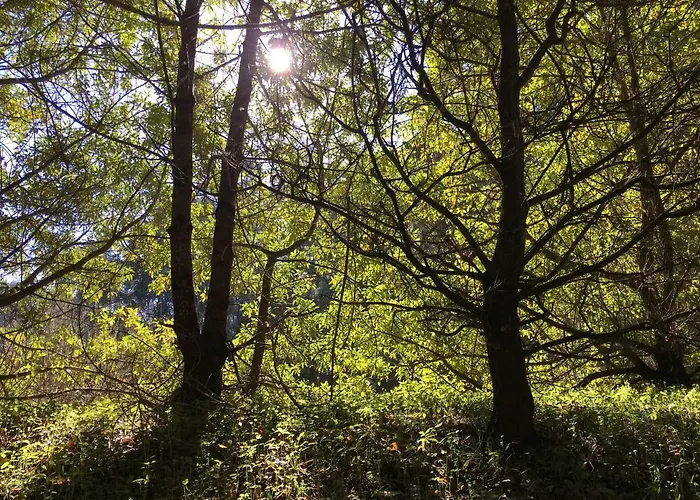 Duplex De Invitados En Medio Del Bosque Venkovský dům Firgas