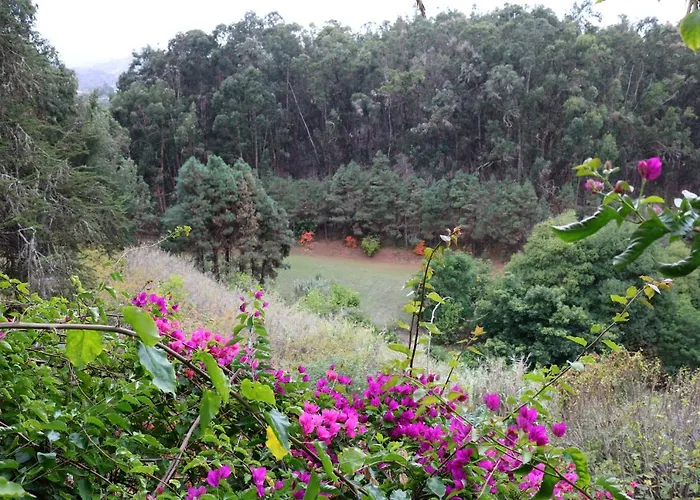 Duplex De Invitados En Medio Del Bosque Venkovský dům Firgas