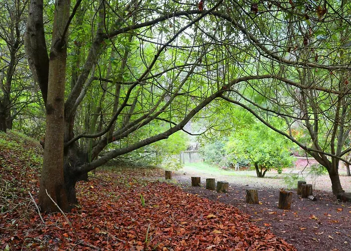 Duplex De Invitados En Medio Del Bosque Venkovský dům *